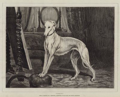 Vanidad de John Charlton